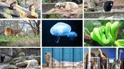 Destination Wild : Pérou sauvage