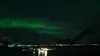 Destination Wild Scandinavie