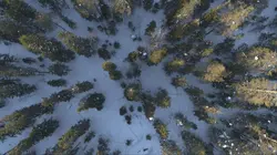 Visuel de Destination Wild Scandinavie