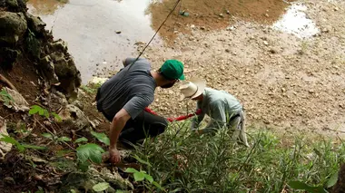 La jungle d'El Camino Real, Panama