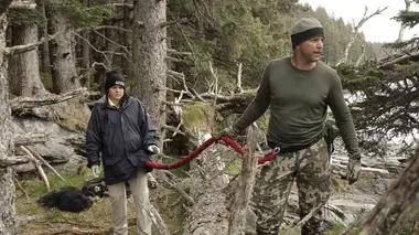 L'archipel Kodiak, Alaska