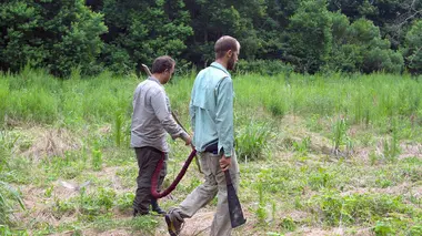Alligator Bayou, Louisiane