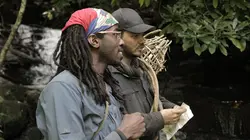 Détache-toi si tu peux