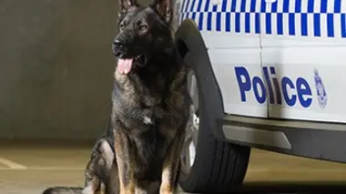 Détectives canins E02
