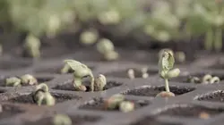 Détenues à ciel ouvert