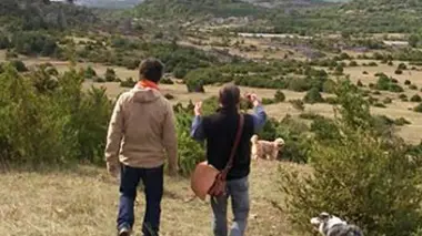 Midi-Pyrénées : traditions pastorales