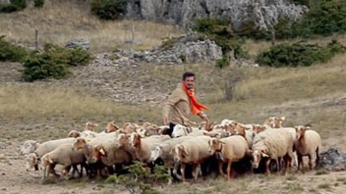 Détour(s) de mob Le patrimoine alsacien
