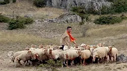 Visuel de Détour(s) de mob