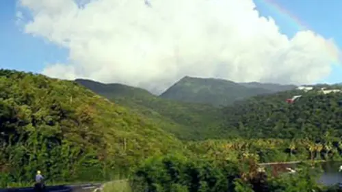 Détour(s) de mob Culture guadeloupéenne