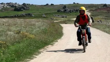 Les sentinelles de la mer