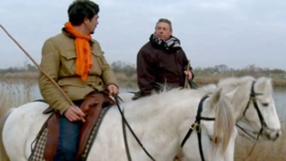 Détour(s) de mob En Camargue