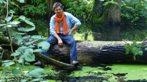 Détour(s) de mob E29 La magie du Spreewald