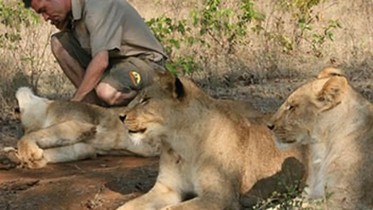 Devenir lion S01E03 L'art de la traque