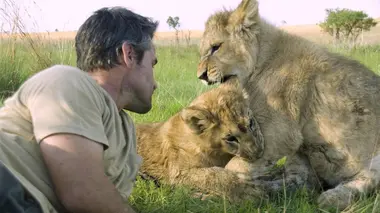 Devenir lion