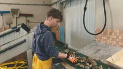 Devenir ostréiculteur