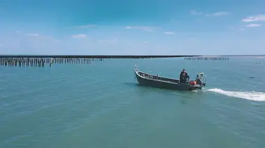 Devenir ostréiculteur