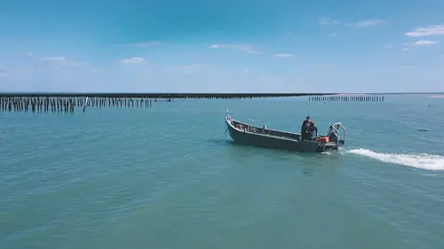 Devenir ostréiculteur