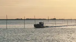 Devenir ostréiculteur