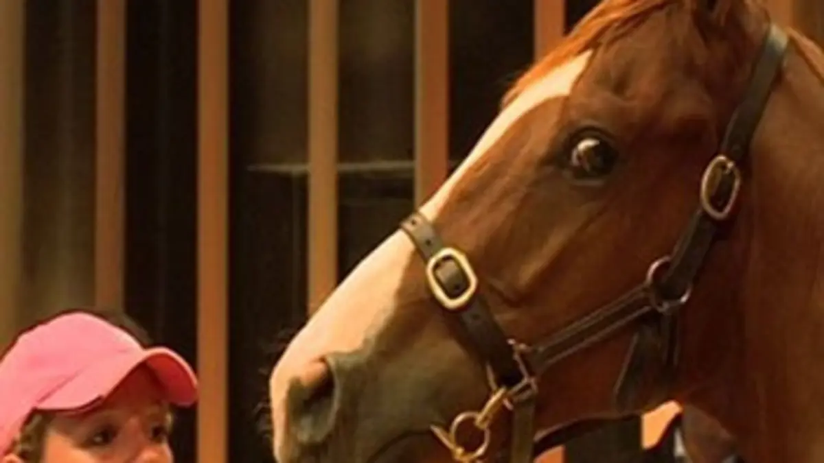 Devenir propriétaire mode d'emploi