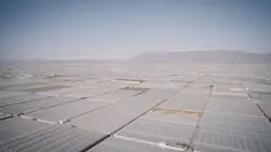 Dezoom Phoenix, États-Unis