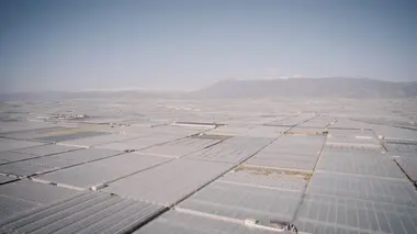 Phoenix, États-Unis