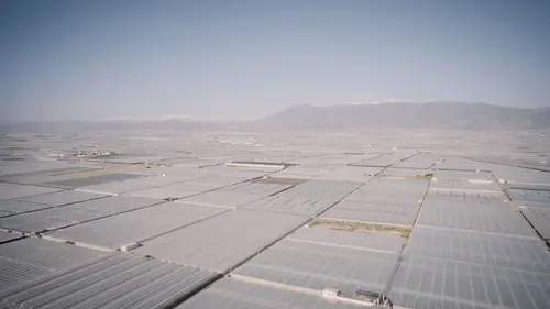 Dezoom Phoenix, États-Unis