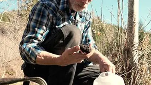 La fièvre de la truffe S01E05 Marché noir