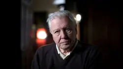 Dian Fossey : des secrets dans la brume  Dark Side of The Mountain