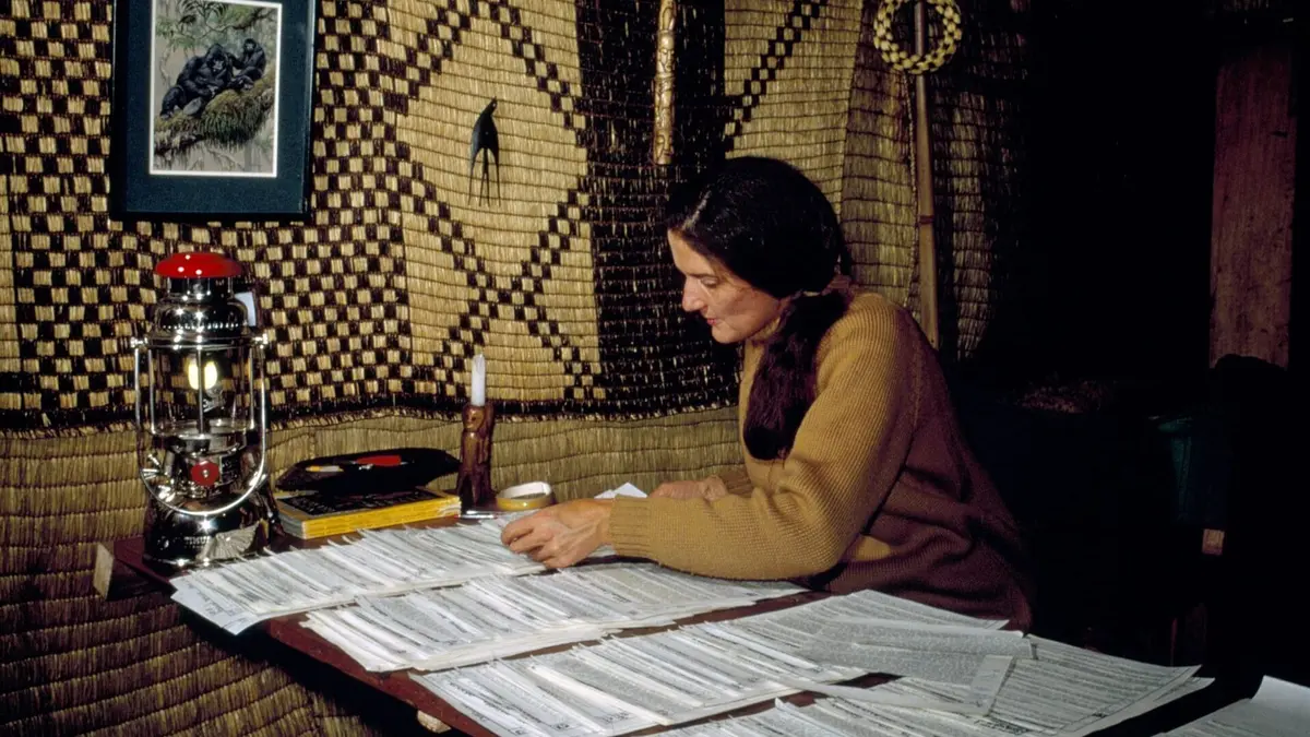 Dian Fossey : des secrets dans la brume Murder on the Mountain