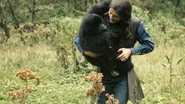 Dian Fossey : des secrets dans la brume