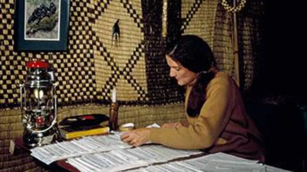 Dian Fossey : des secrets dans la brume