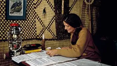 Dian Fossey : des secrets dans la brume