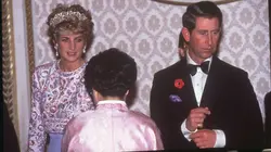 Diana, une icône mystérieuse