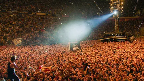 Die Toten Hosen : Phénomènes punk rock