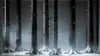 Die Walküre