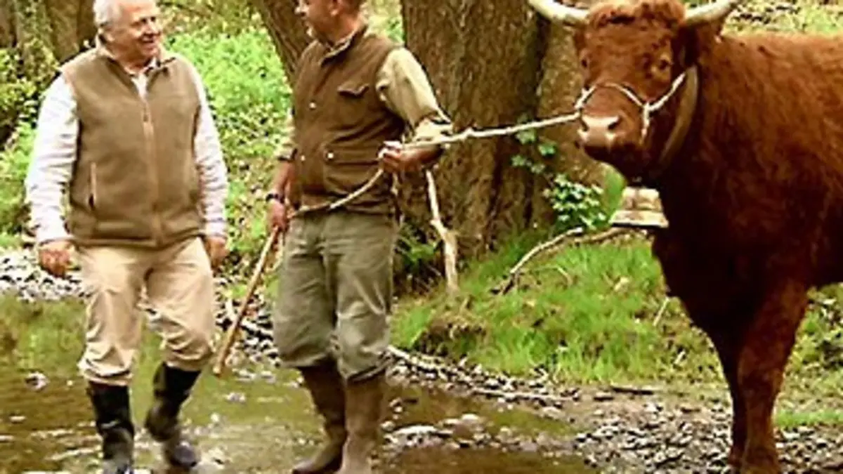 Dimanche à la ferme E01 Dimanche à la ferme