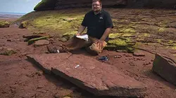 Visuel de Dino Hunt