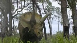 Visuel de Dino Hunt
