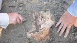 Dino Hunters Coups de feu