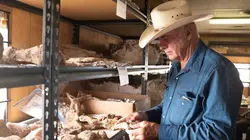 Dino Hunters Coups de feu