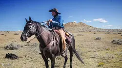 Dino Hunters  Le dino qui valait un million