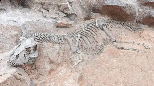 Dino Hunters S02E04 Sur les traces du mammouth