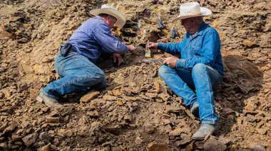 Dino Hunters S02E02 En quête du trésor