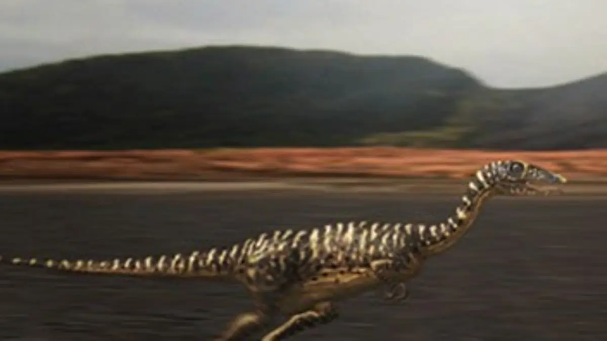 Dinosaures City E03 Washington