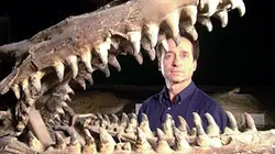 Visuel de Dinosaures City
