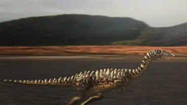 Dinosaures City E03 Washington