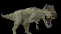 Visuel de Dinosaures, les monstres du passé