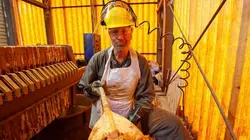 Dirty Jobs Scènes censurées