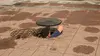 Dirty Jobs Bouche d'égouts et restaurateur de clocher