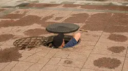 Dirty Jobs Bouche d'égouts et restaurateur de clocher en streaming